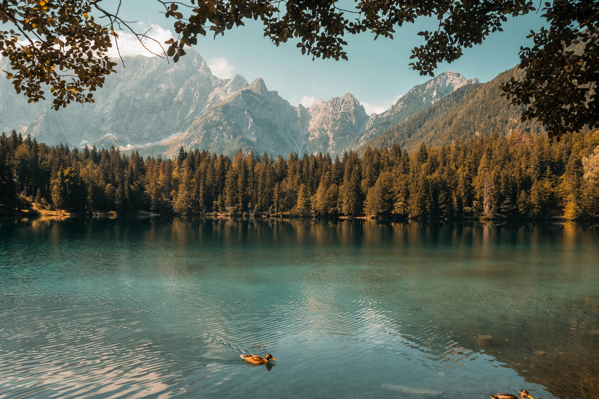 Watercolor Mountain Lake