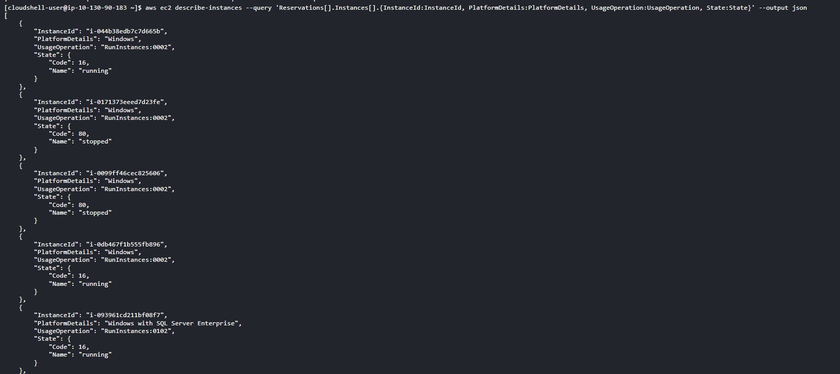 Instance Info JSON Format